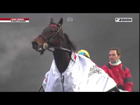 Franck Nivard : "Bold Eagle sera beaucoup mieux pour le Prix d'Amérique"