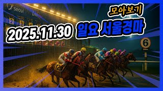 2025년 11월 30일 일요 서울경마 전체경주 모아보기