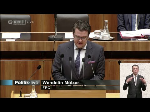 Wendelin Mölzer - Haus der Geschichte (Bundesmuseen-Gesetz) - 17.3.2016