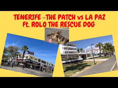 TENERIFE - ARE ‘THE PATCH’ & ‘THE PAZ’ BARS THE SAME PLACE?