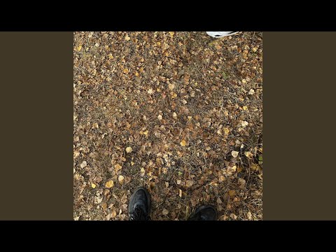 Andiin burhan ft Maaraa