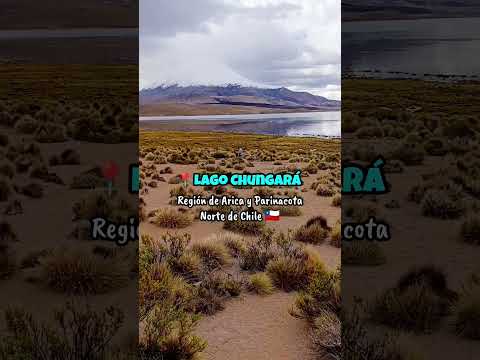 La magia del lago Chungará, Arica y Parinacota 🇨🇱