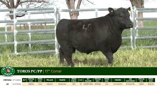 3 Toros PC/PP - Gregorio Aberasturi - Plaza Ganadera