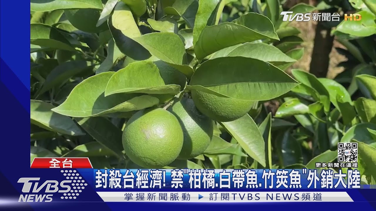 封殺台經濟！禁「柑橘、白帶魚、竹筴魚」外銷大陸