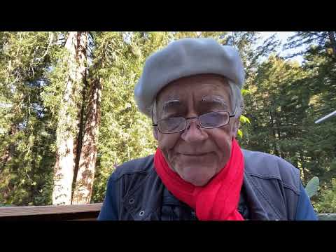 Another Reading  No Mud, No Lotus Pt 2