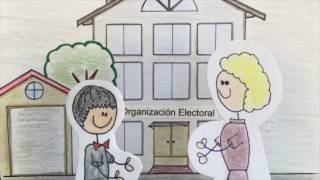 Organización electoral