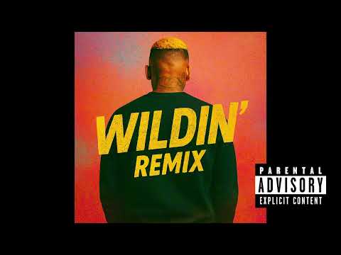 Chris brown- Wildin remix