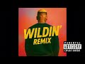 Chris Brown Wildin Remix
