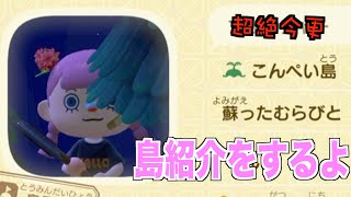 超絶今更！島紹介をさらりとしていくドン【あつまれどうぶつの森】