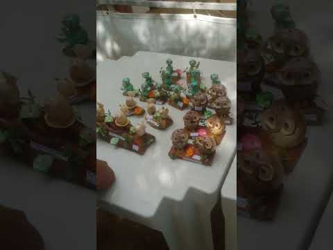 General Sampaio/Ce #shortvideo #viralshort #cidade #youtubeshorts #ceará #festival