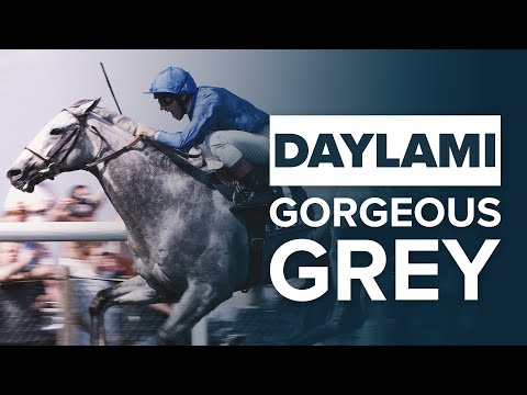 DAYLAMI: MOST UNDERRATED BREEDERS' CUP AND ASCOT WINNER?
