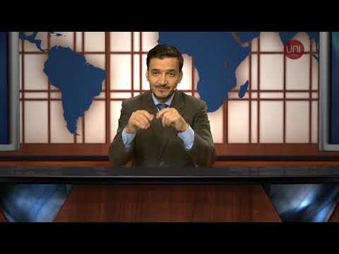 El gato garrafa en el centro de la ciudad