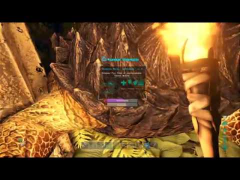 CASA MOVEL!!!-ARK #3-LIVE (continuaçao)