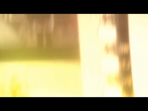 Gauguin by Chesterfield