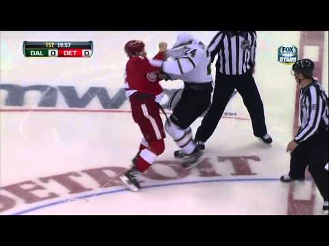 Eric Nystrom vs Jordin Tootoo fight 29 Jan 2013 Dallas Stars vs Detroit Red Wings NHL Hockey