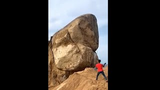 When I threw a small stone at a huge rock, the rock collapsed. | Cute wild baby raccoon.