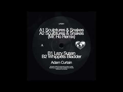 Adam Curtain - Sculptures & Snakes