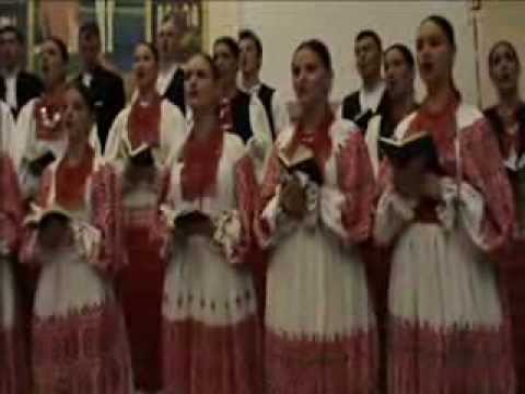 ZDRAVO DJEVO SVIH MILOSTI PUNA