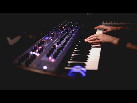 DSI Poly Evolver soundscape with emotive pads