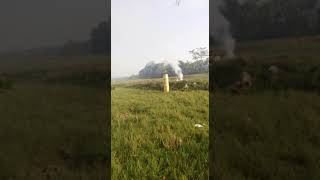 Download lagu story wa kekinian versi 30 detik mp3 Download lagu story wa kekinian versi 30 detik mp3