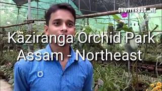 preview picture of video 'ORCHID | KAZIRANGA NATIONAL ORCHID PARK | DOCUMENTARY |  HOW TO PLANT AN ORCHID | ASSAM | NORTHEAST'