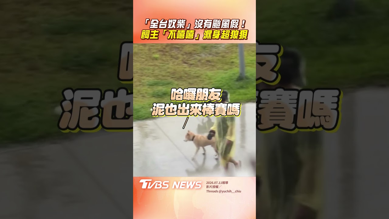 影音/柴柴の堅持!颱風天出門淋雨棒賽 全台飼主「不嘻嘻」超狼狽