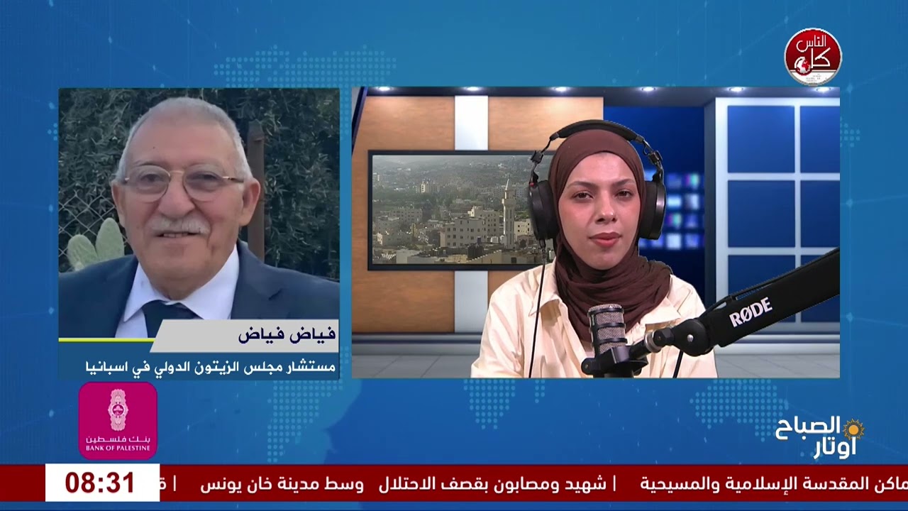موسم الزيتون 2026.. بين جودة الإنتاج وتحديات المزارعين