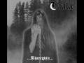 Taake - Over Bjoergvin Graater Himmerik VI