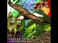 Her Flying Horses - Songs for the Wild - Stevan Pasero