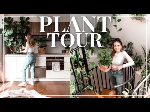 🌿 MEET MY HOUSEPLANTS 🌿 Indoor Plant Tour | LIFE by Arna Alayne
