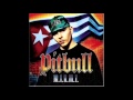 Pitbull - 305 Anthem (ft. Lil Jon) 
