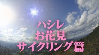 ハシレ　自転車　お花見篇「しんまちTV」meets "Hey! Mr. BROWNIE" with　きびちゅうおうサイクルプロジェクト