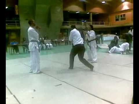 Kyokushin Karate: Mafisa ultimate knockout