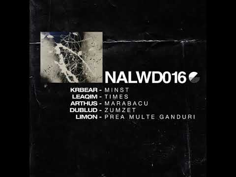 DubluD - Zumzet [Not Allowed]