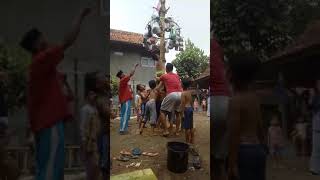 Download lagu Panjat pinang celana merosot 2021 mp3 Download lagu Panjat pinang celana merosot 2021 mp3