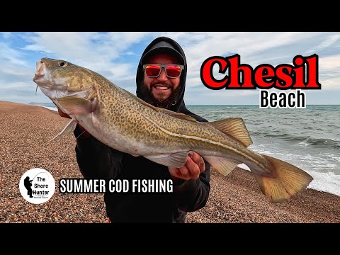 COD Fishing, UK Beach, Chesil Beach. The Shore Hunter, Wayne Hand.
