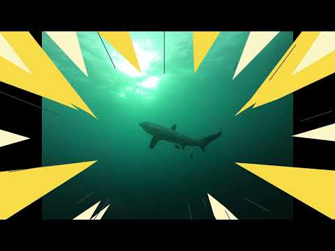 Viagem de mergulho na Ilha Malapascua em fevereiro de 2023