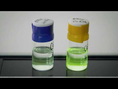 応用生物学課程 Research at Kyoto Institute of Technology Vol.25 -- Assoc. Prof. SAKURAI Tsuneaki