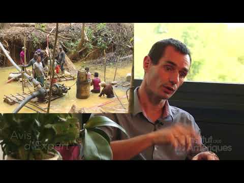 Avis d'expert #9 - L'orpaillage clandestin en Guyane