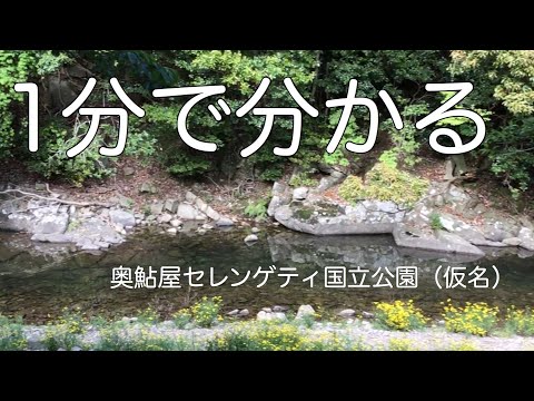 奥鮎屋セレンゲティ国立公園（仮名）淡路島　兵庫県洲本市　水遊び　川遊び　キャンプ　#15