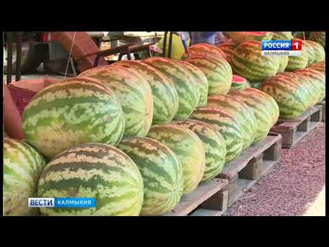 Вести «Калмыкия»: вечерний выпуск 02.08.2018