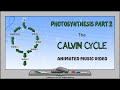 Photosynthesis: The Calvin Cycle  | ANIMATED MUSIC VIDEO |