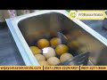 Egg Boiler Mesin Perebus Telur 30 butir EBM-EE200 2