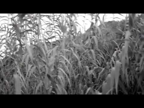 Twenty One Pilots - Heathens ft. 2Pac [Remix 2019]