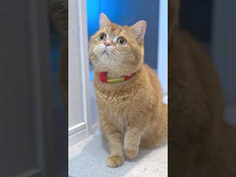 Washing Away the Tears 🧽🫧