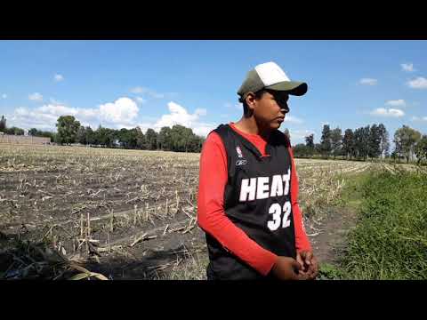 ME ENAMORE💯 //💥MEMO X 💥// 💎VIDEO OFICIAL🔥