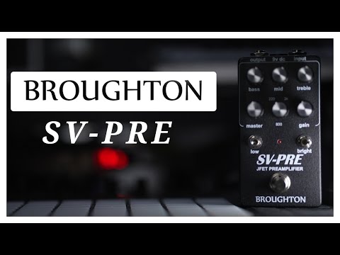 Broughton Audio SV-Pre 2021 Ampeg SVP style preamp image 8