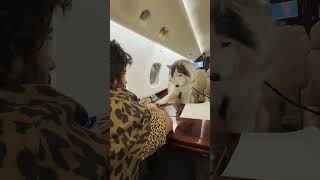 This Gentleman’s first plane ride | Vijay Deverakonda #Shorts video