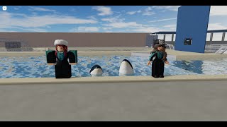 A Day In The Life of a Killer Whale Trainer | Crystal Waters Aquarium ROBLOX