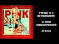 07 Please Don T Leave Me Live Australia Funhouse Tour Audio